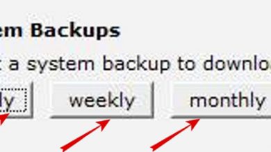 Download-backups2