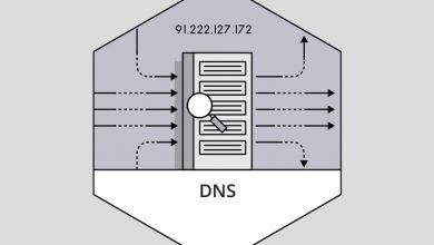 تنظیم DNS دامنه