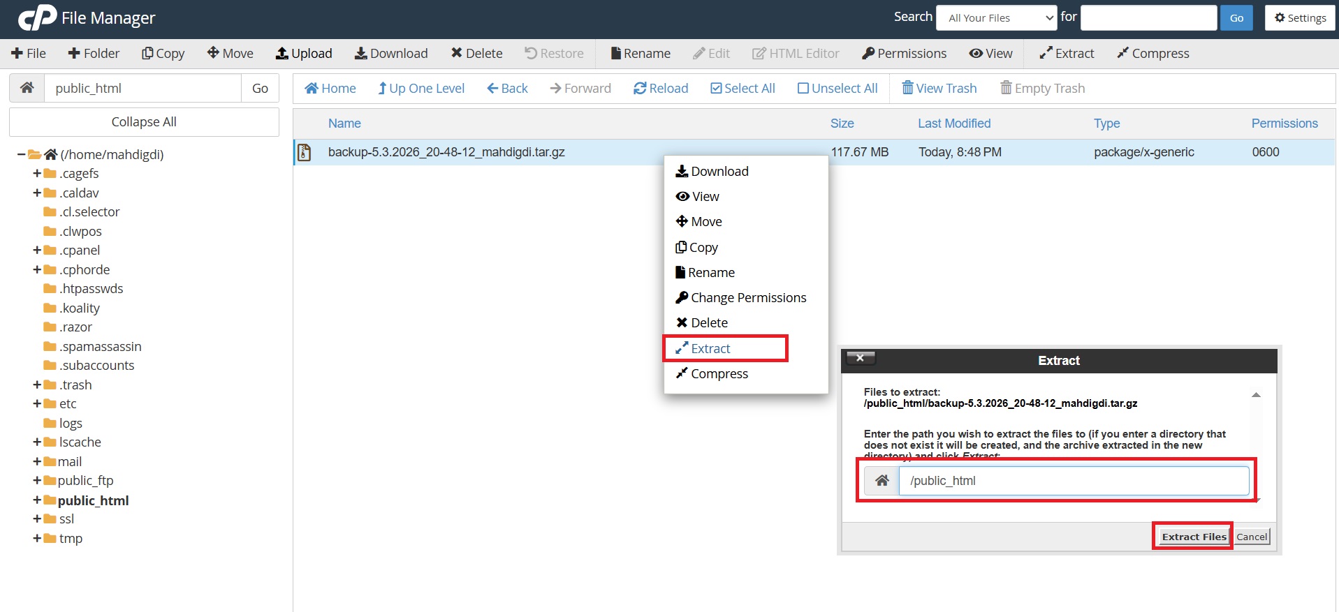 extract-Backup